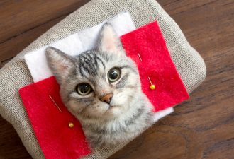 игрушка котик фото