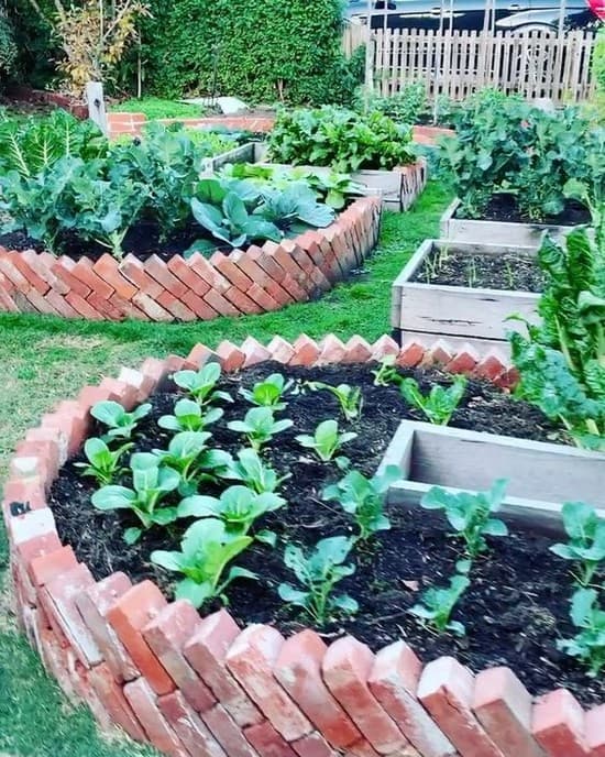 идеи для огорода и сада
